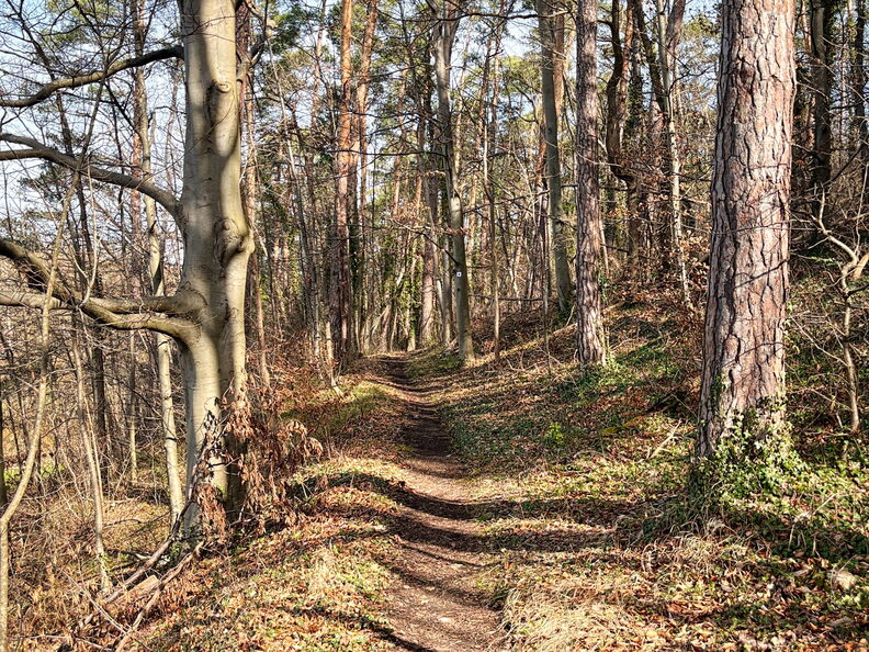 23-03-17 10-56-29 4883